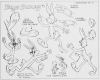 Bugs Bunny Model Sheet Ver. 2 Bugs Bunny Model Sheet Ver. 2