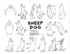 Sam Sheepdog Model Sheet