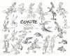 Wile E. Coyote